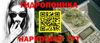 гидра Шебекино