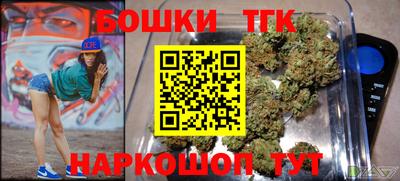 тгк Шелехов