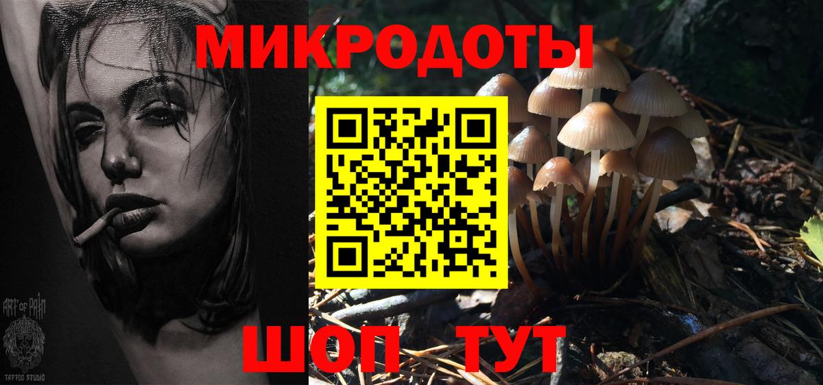 хочу   Вход с VPN  Химки  Галлюциногенные грибы Psilocybe 